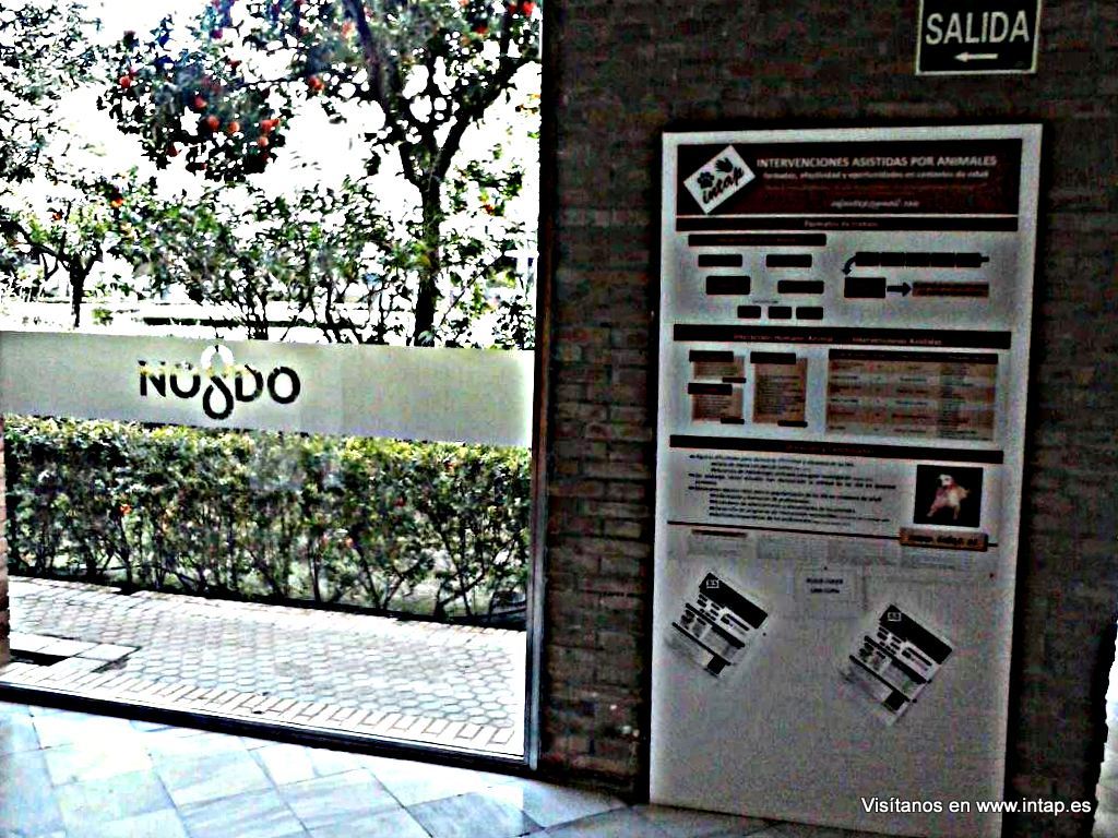 Nuestro póster en las Jornadas de Humanización de la Salud (Sevilla)