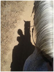 Rebeca y caballo (sombra)