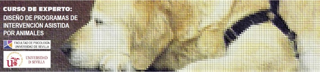 header-mosaico-1024x233